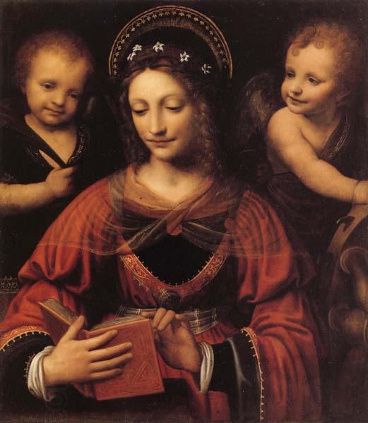 LUINI, Bernardino St.Catherine China oil painting art